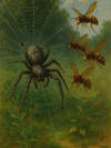 Cover of Anansi and the Hornets