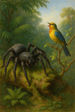 Anansi and the Singing Bird