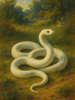 Cover of The White Snake