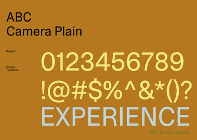 Paladar brand refresh showcase design asset 31 displaying updated typographic layouts and visual system.