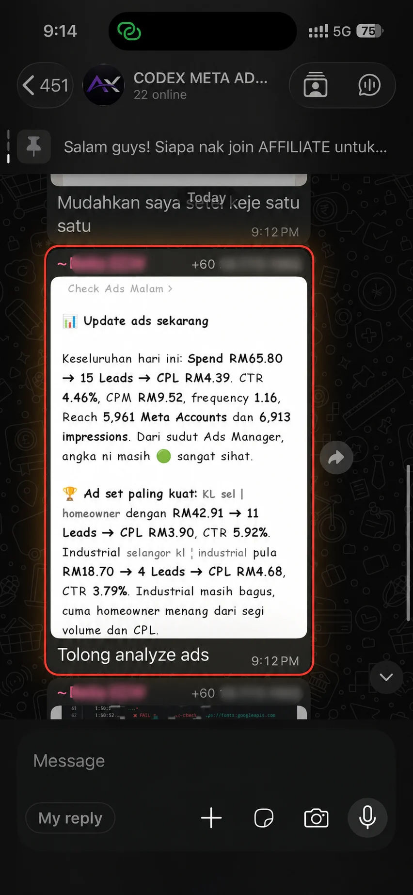 Codex membantu menganalisis prestasi Meta Ads
