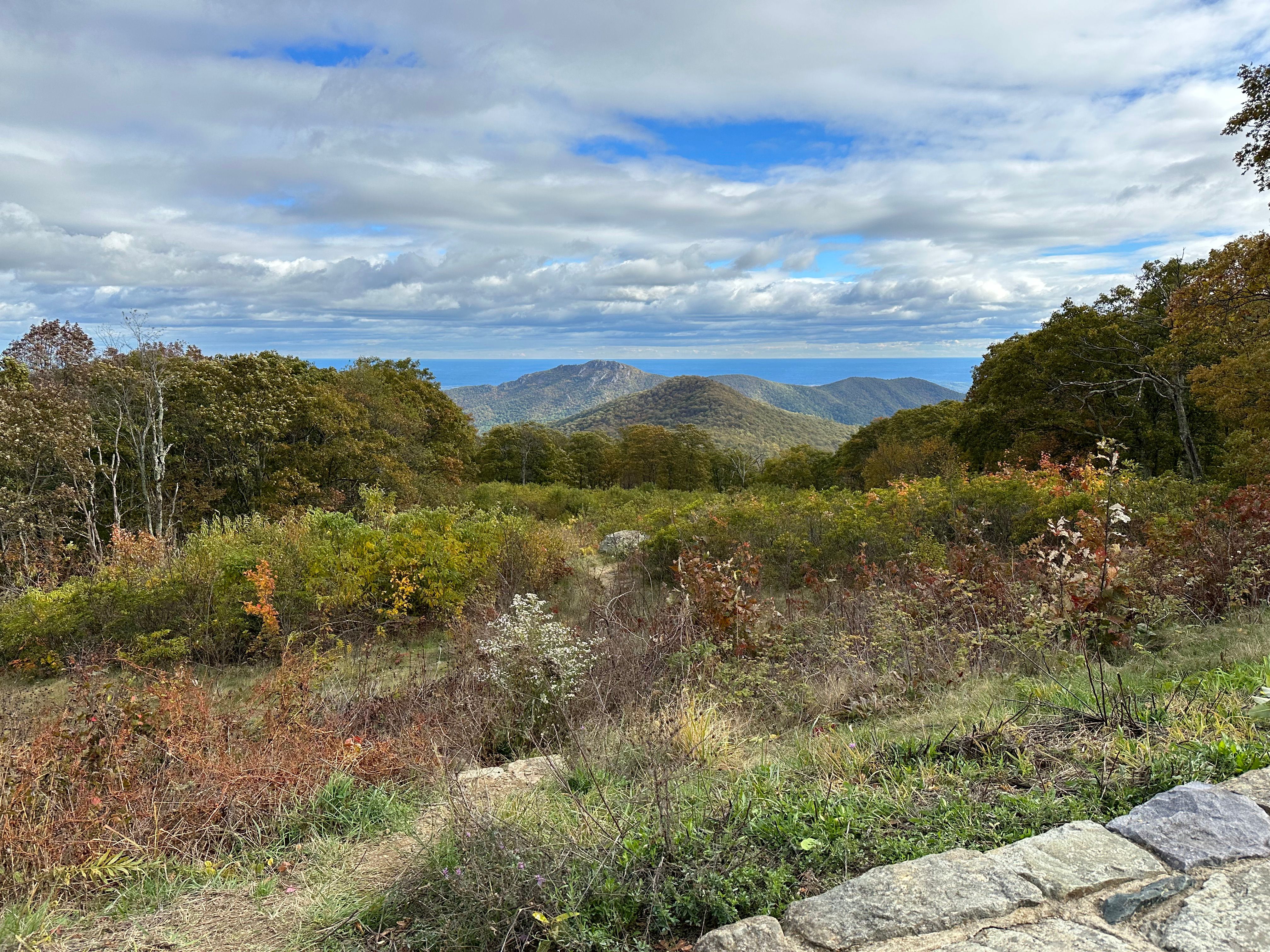 Whiteoak Canyon Falls