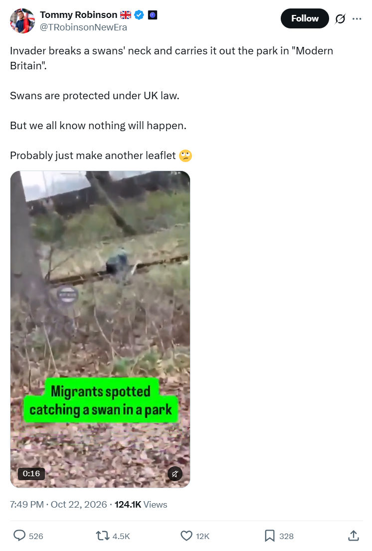 Tommy Robinson: Invader breaks a swans'...