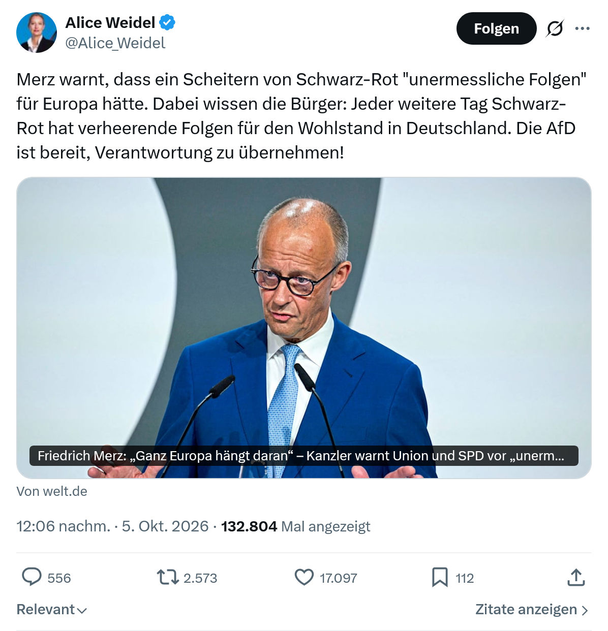Alice Weidel: Merz warnt, dass ein Scheitern...