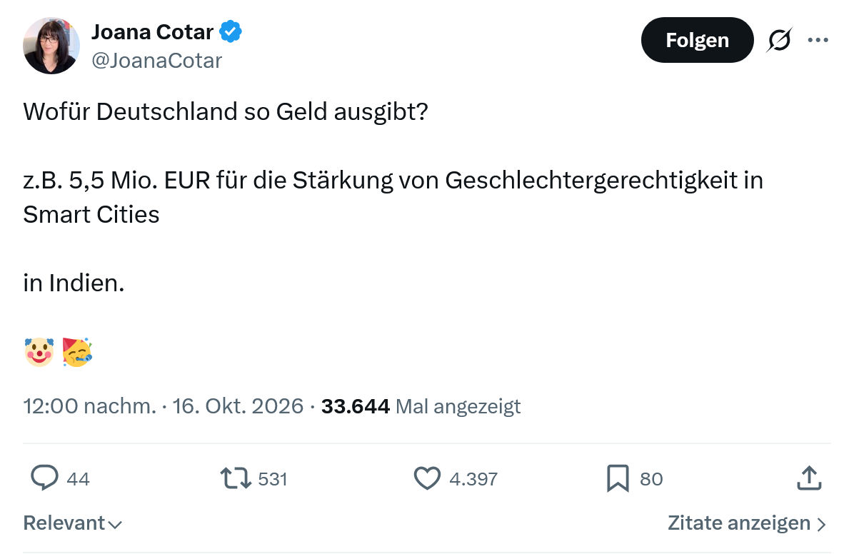 Joana Cotar: Wofür Deutschland so Geld ausgibt...