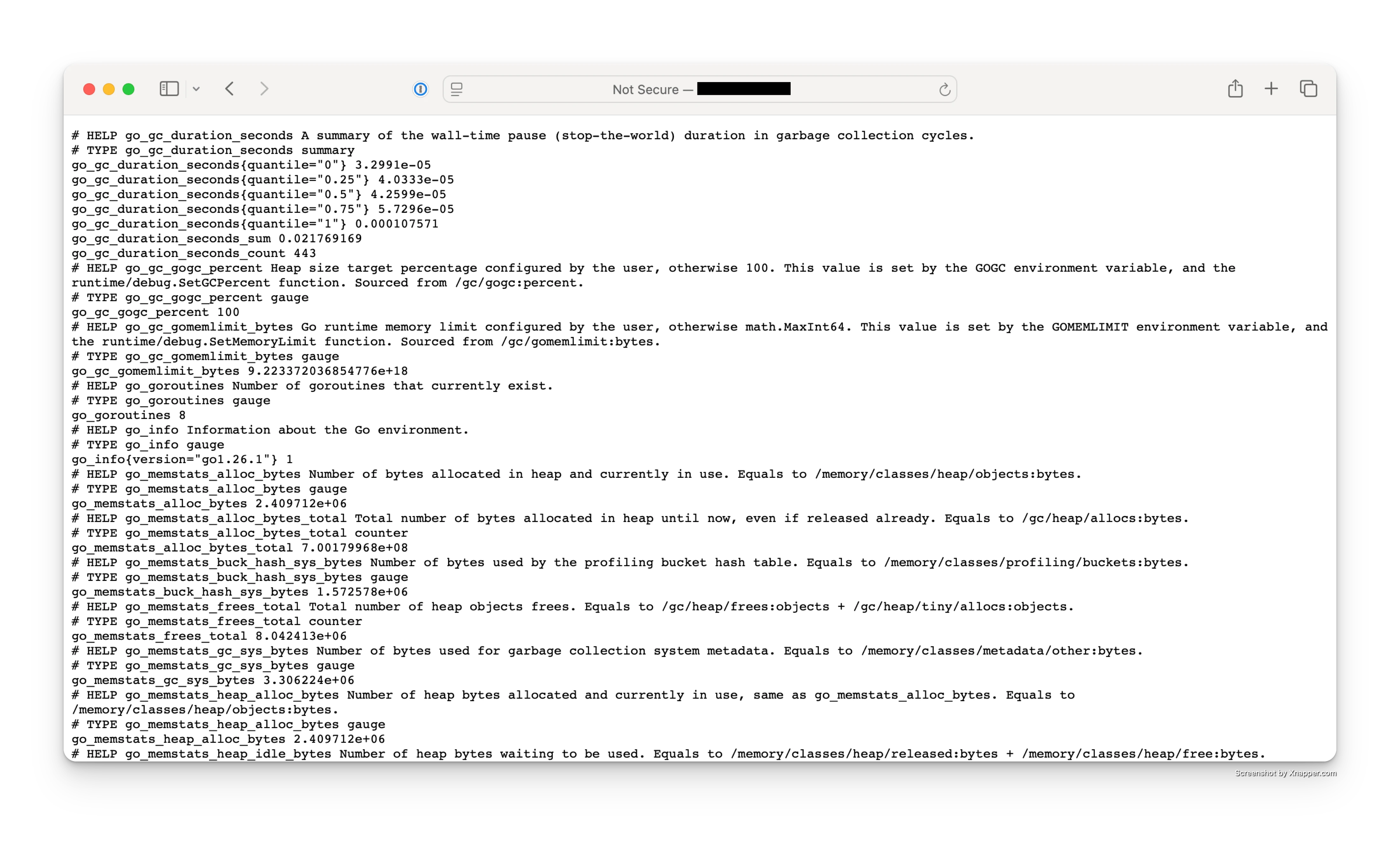 Screenshot endpoint Node Exporter