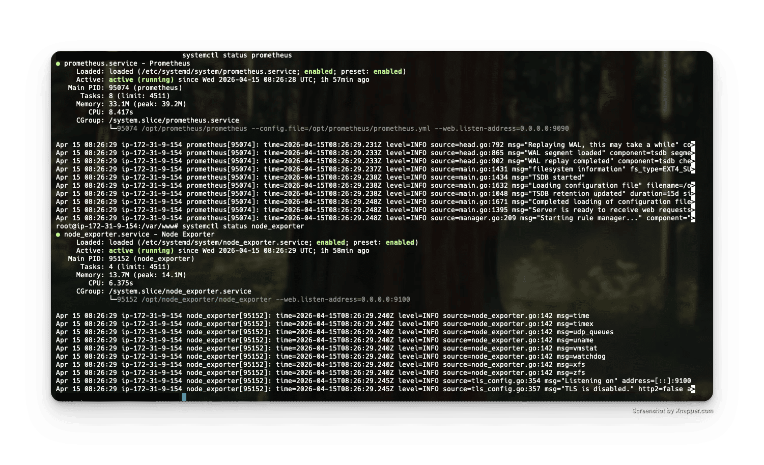 Screenshot status service systemd