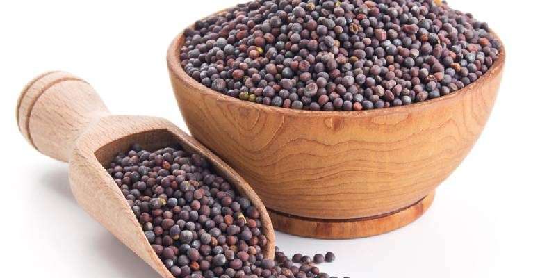 mustard crop