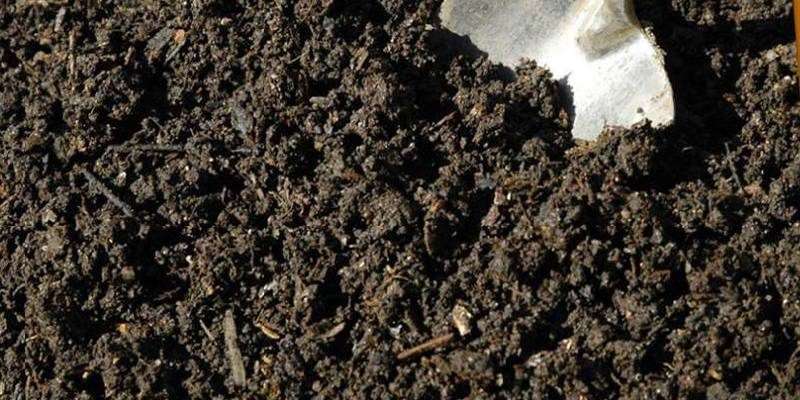 organic manure