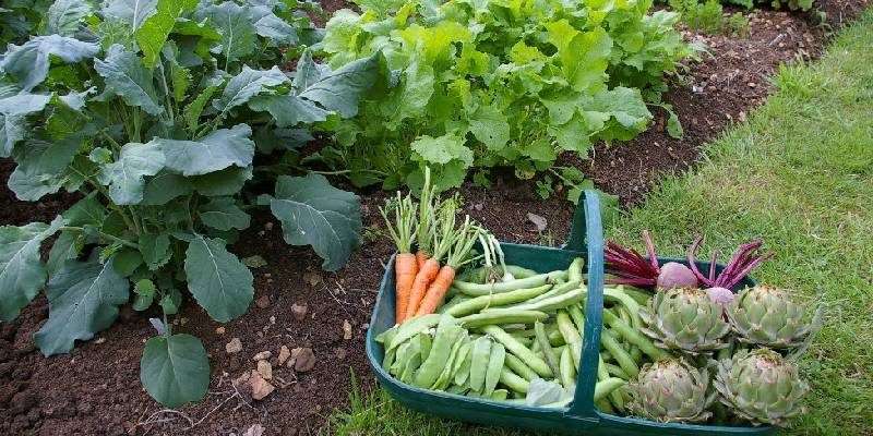 organic