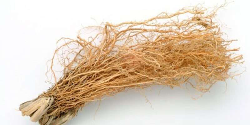 vetiver pb