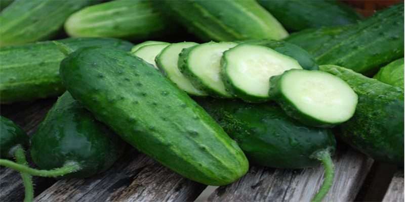 cucumber-Pb