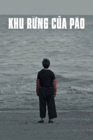 Khu rừng của Páo