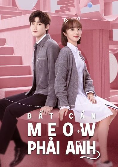 Bất Cẩn Meow Phải Anh