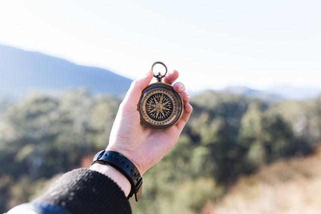 Understanding Data Roaming : A Guide to Staying Connected on Your International Trips