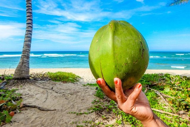 unleashing-the-wonders-of-seychelles:-top-excursions-to-add-to-your-bucket-list