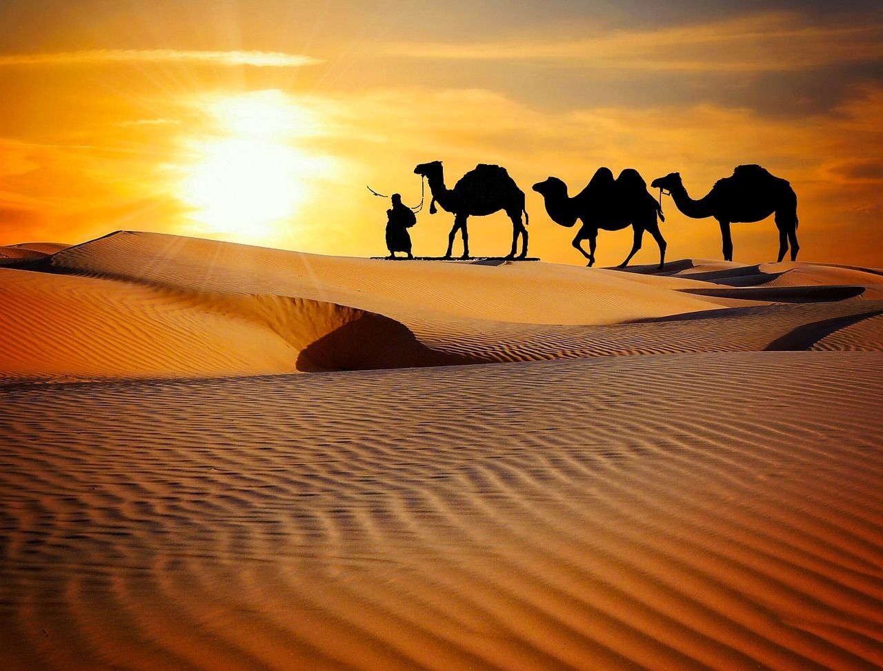Discover the Best of India: Top Excursions to Add to Your Bucket List