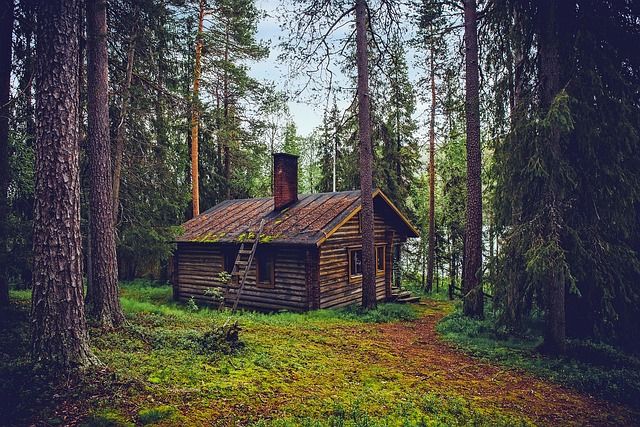 a-trip-to-slovenia:-the-enchanting-adventure-awaits-in-the-heart-of-europe's-hidden-wonderland
