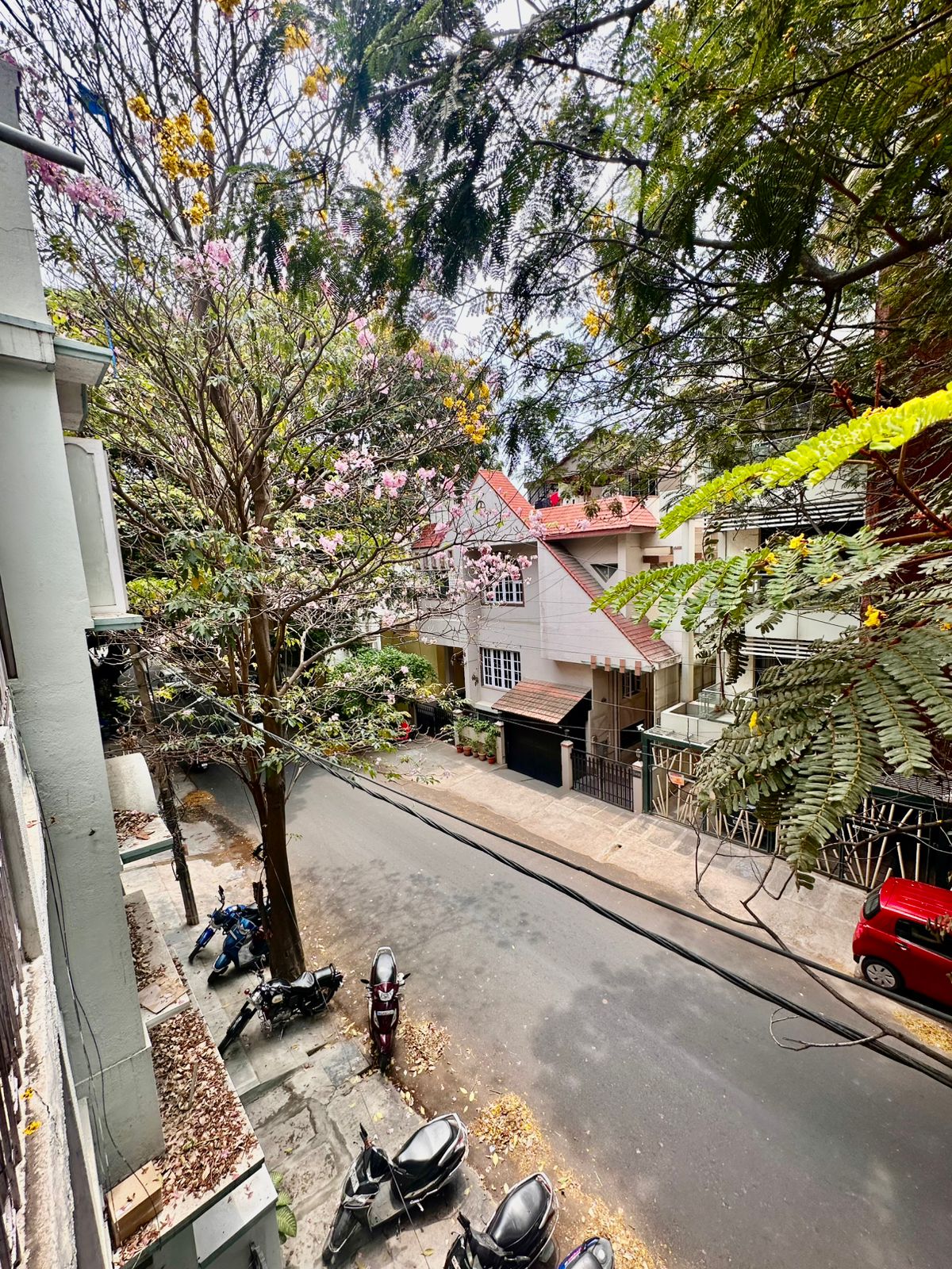 Image 12