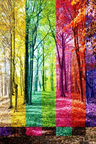 Glitch Art - Rainbow Forest