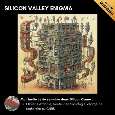Silicon Valley Enigma 🤔