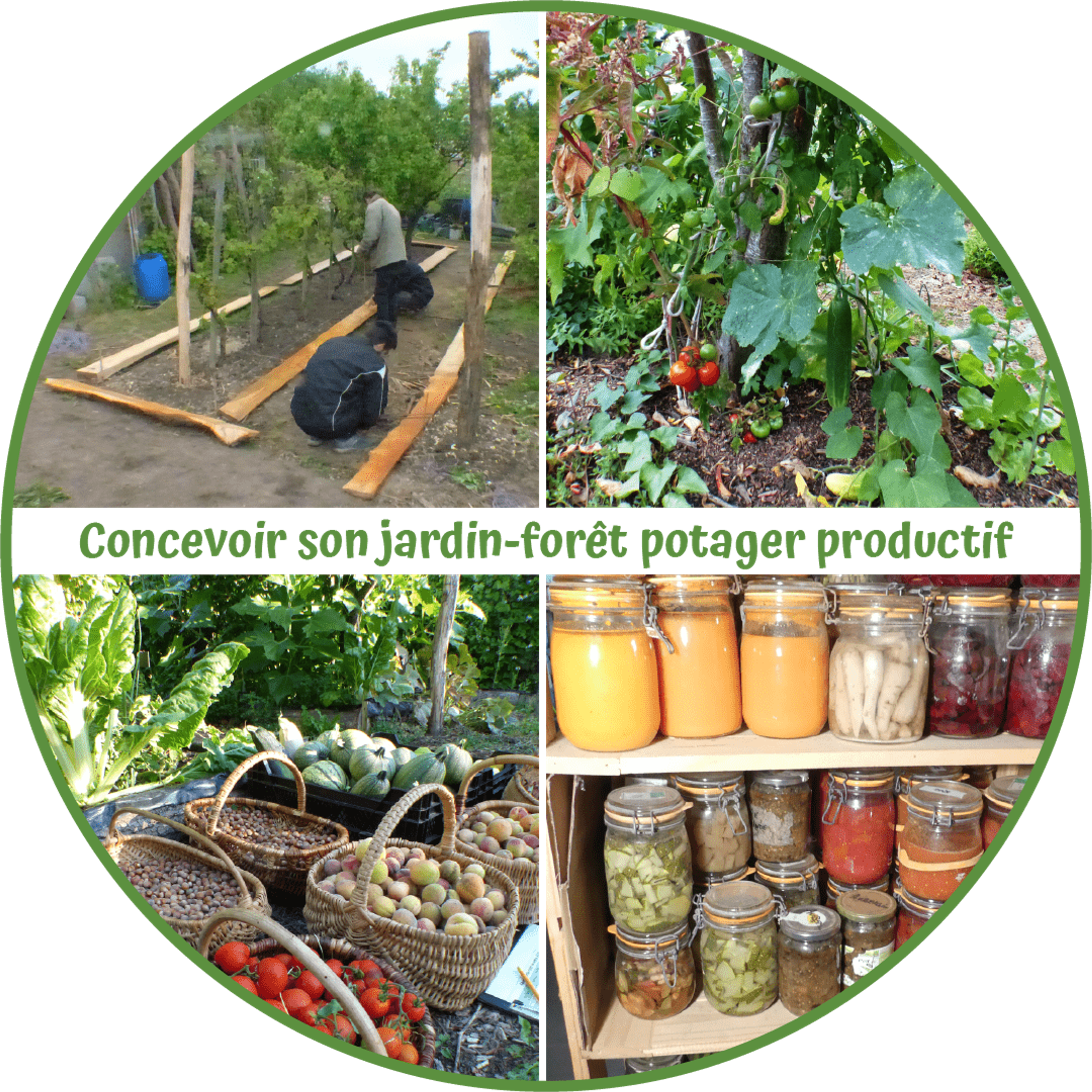 Concevoir des jardins forêt, potager et ses haies fruitières en permaculture