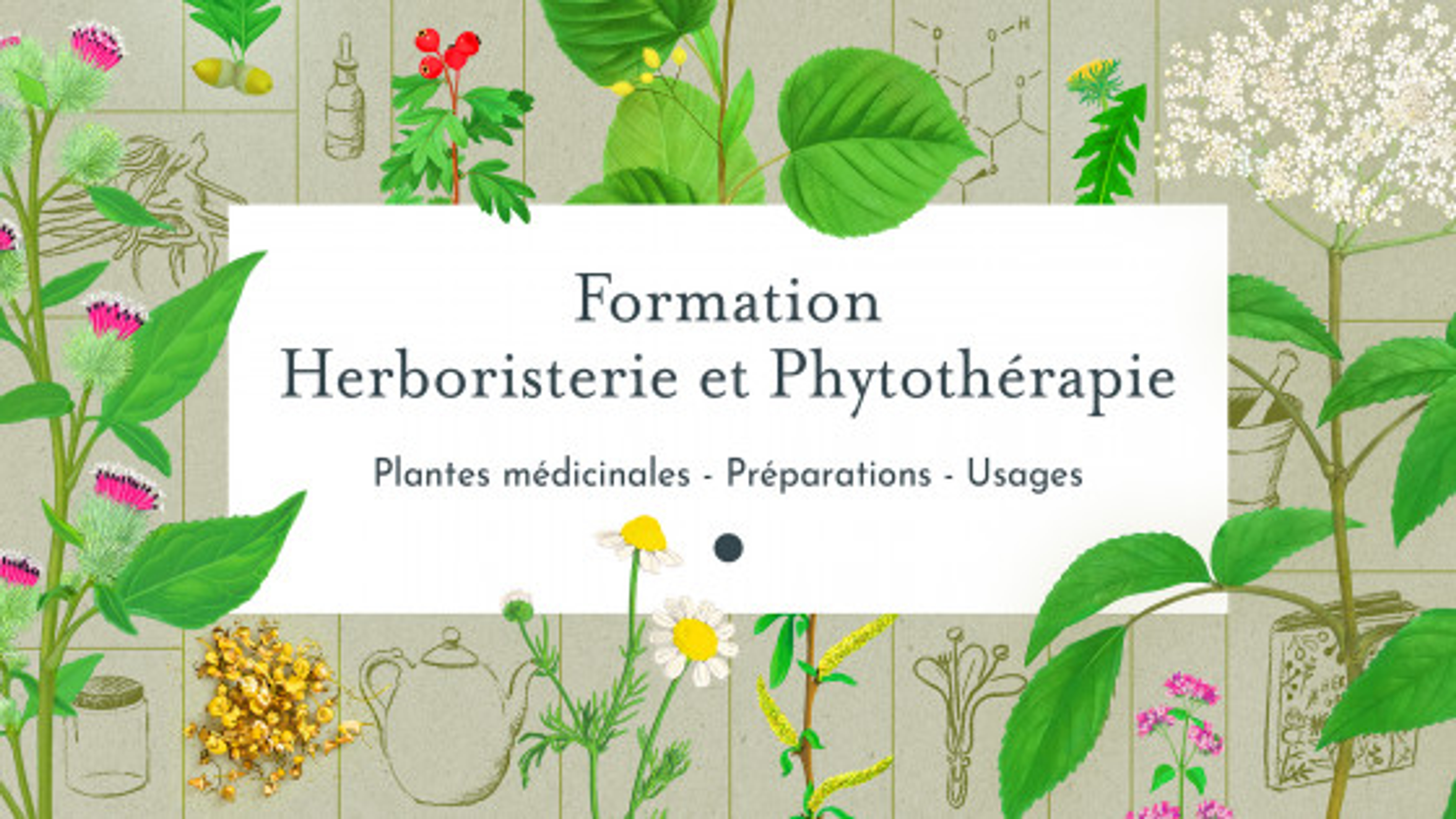 Formation herboristerie et phytothérapie