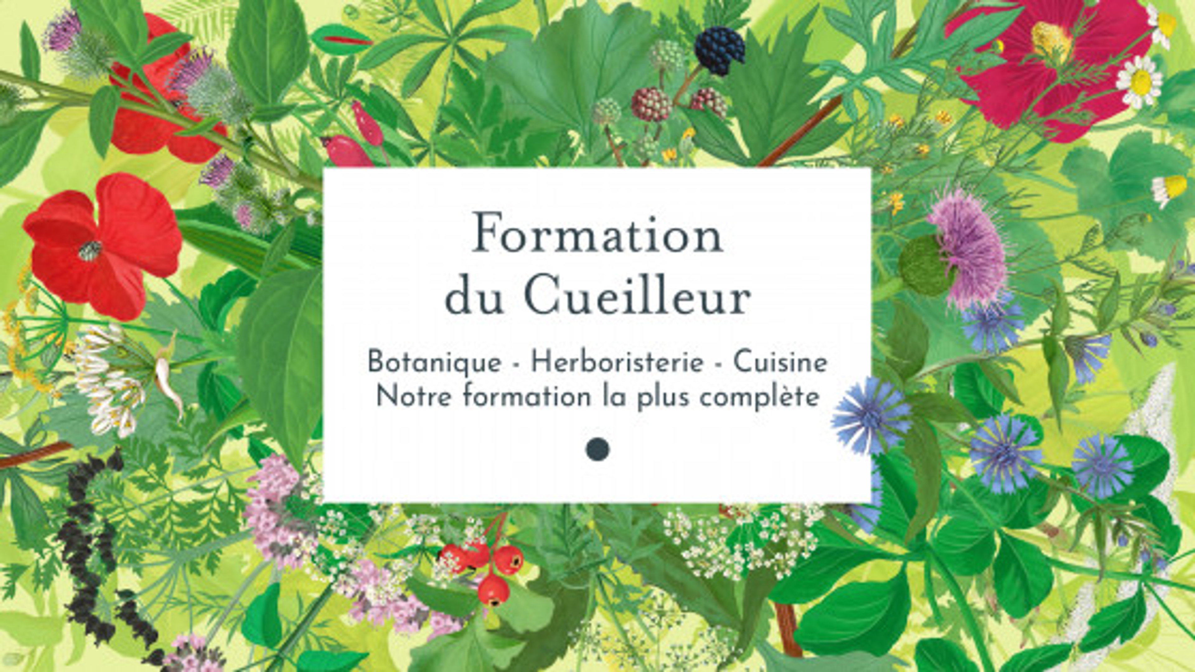Formation du Cueilleur