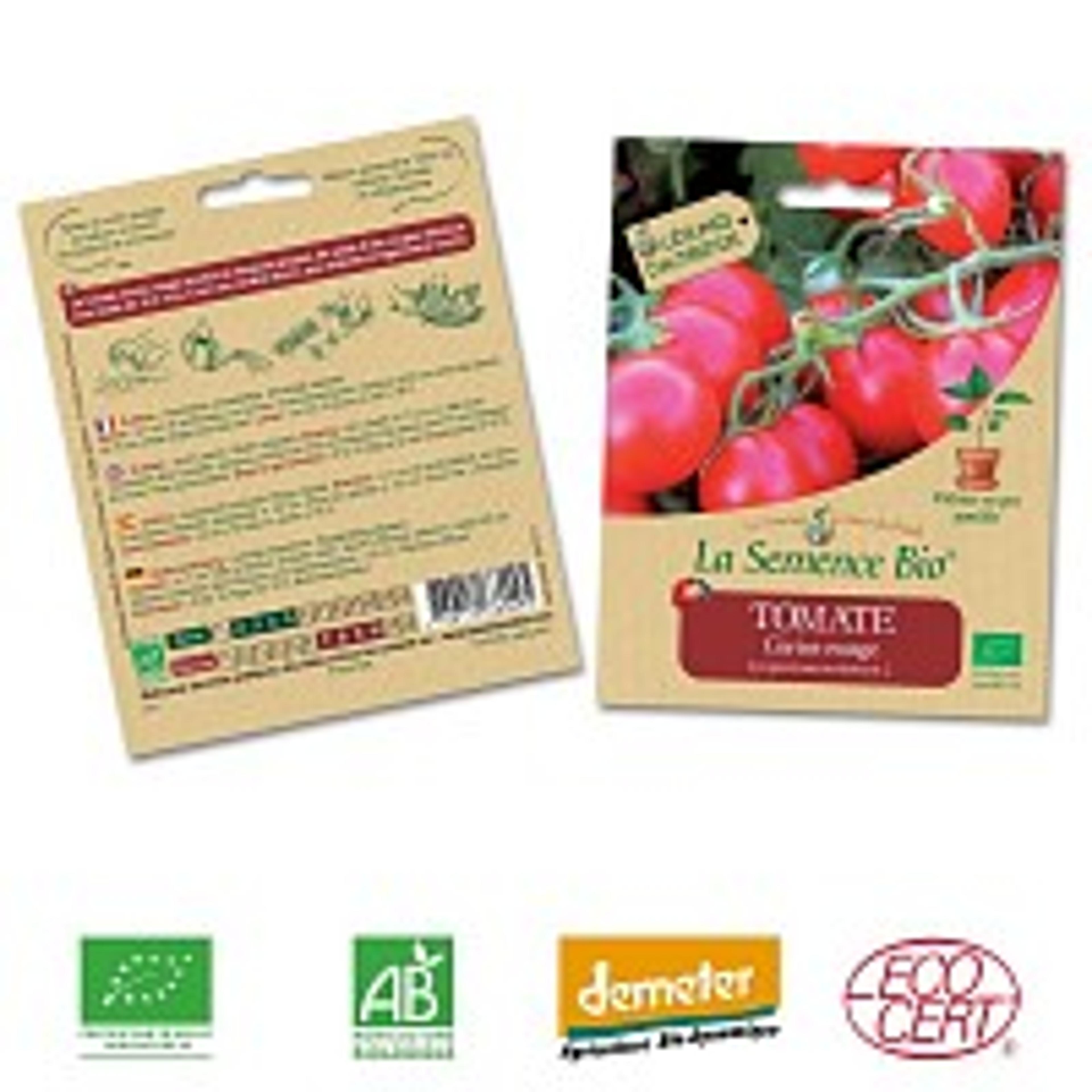 Tomate Cerise Rouge graine semence bio