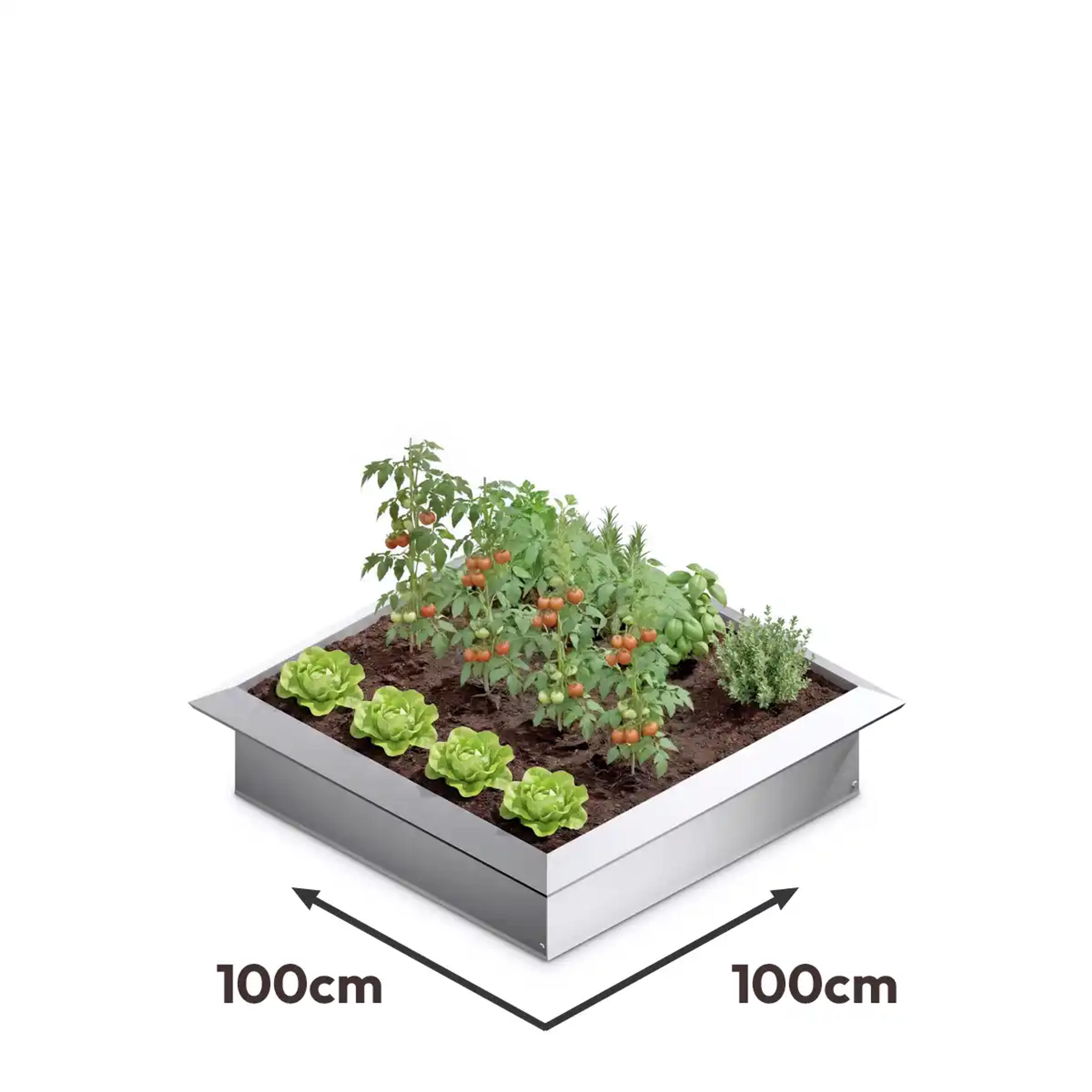 Carré potager acier 100x100cm anti limace