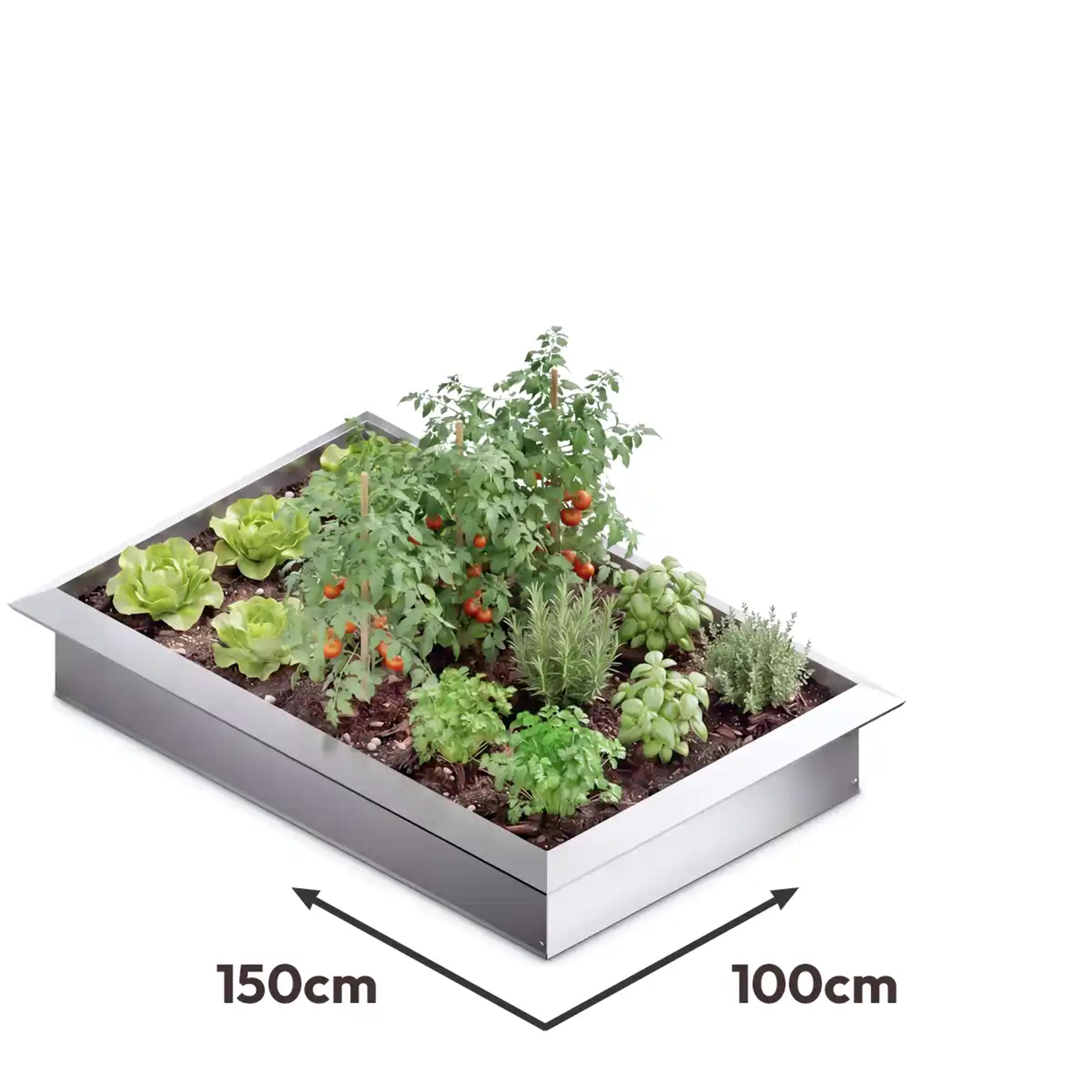 Carré potager acier 100x150cm anti limace