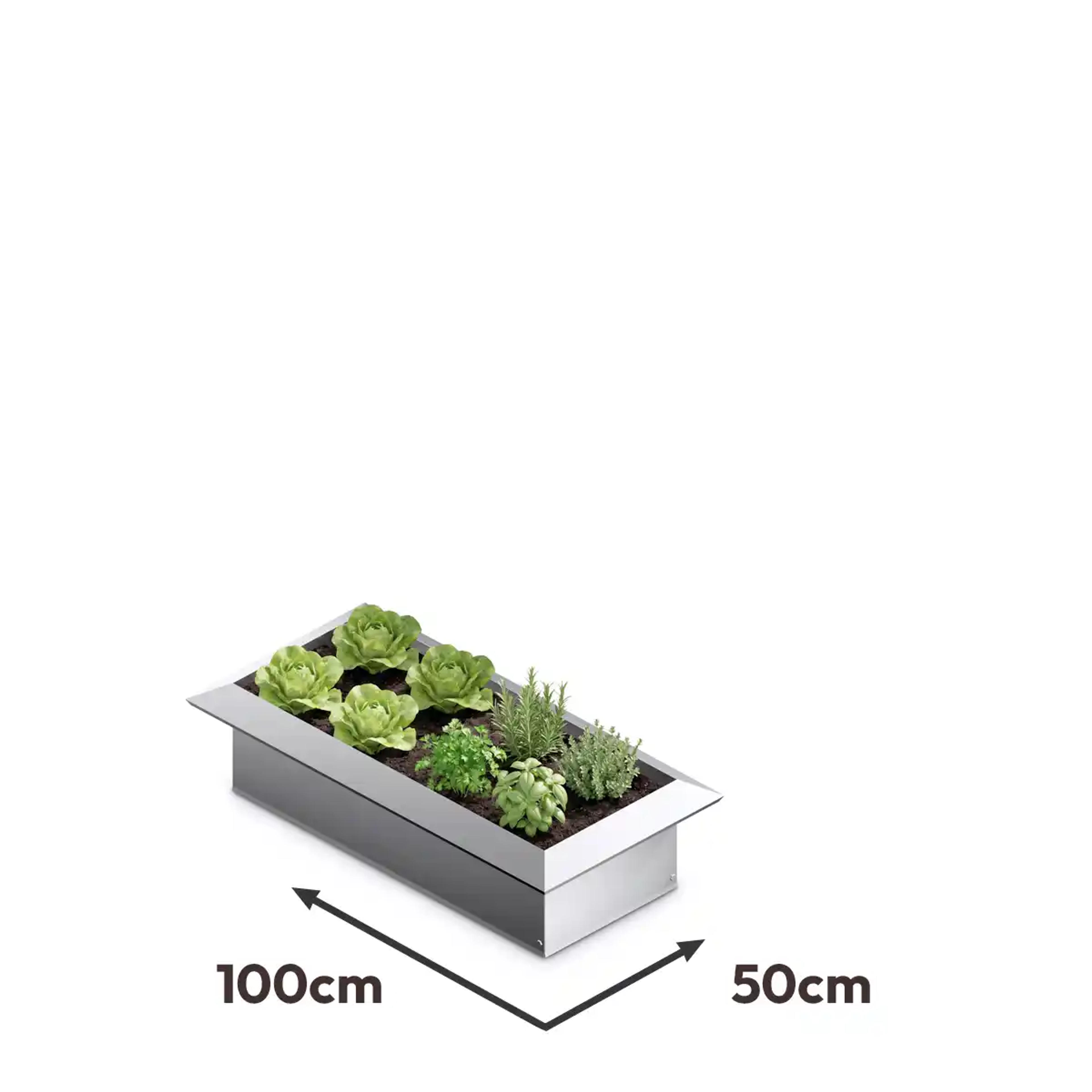 Carré potager acier 50x100cm anti limace