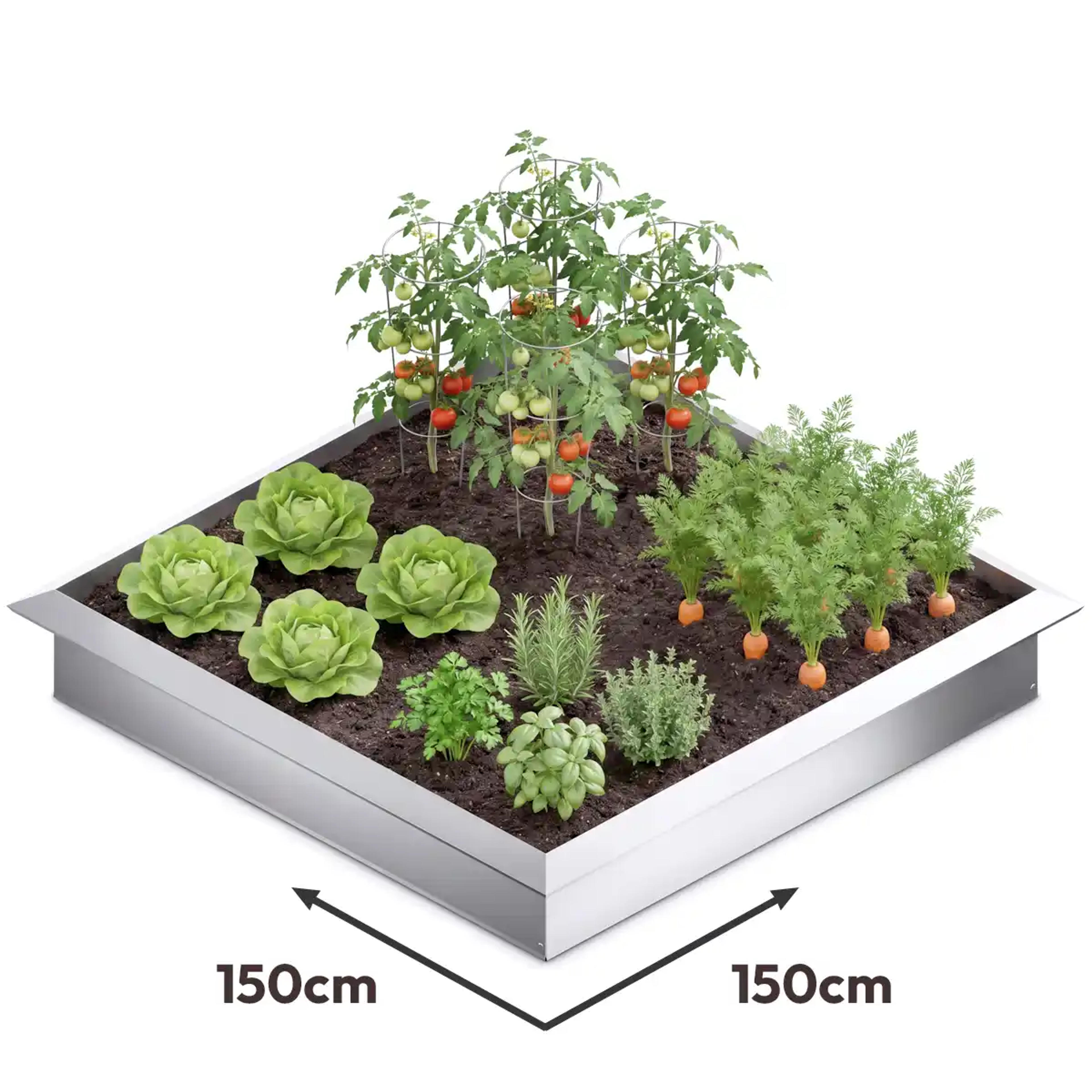 Carré potager acier 150x150cm anti limace