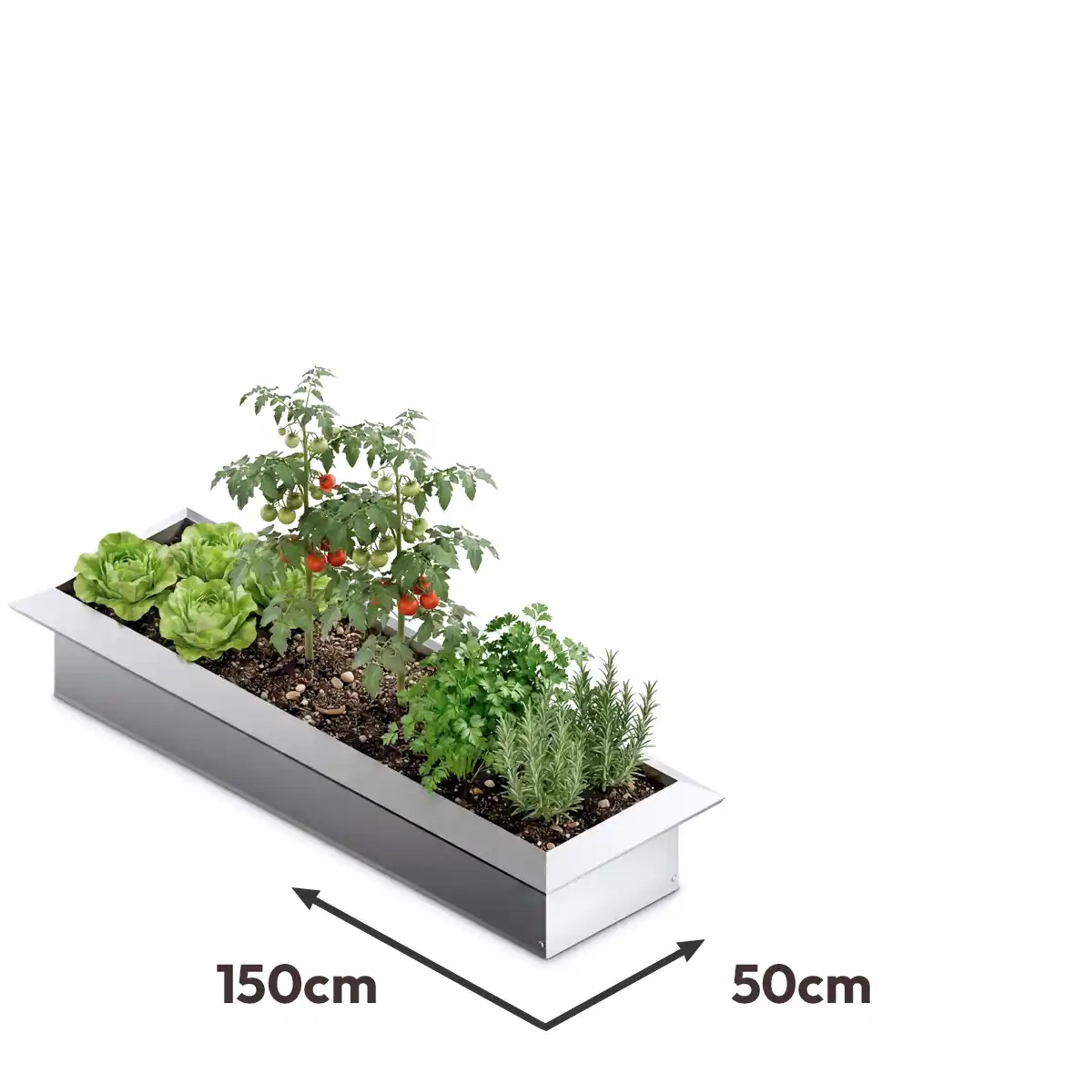 Carré potager acier 50x150cm anti limace