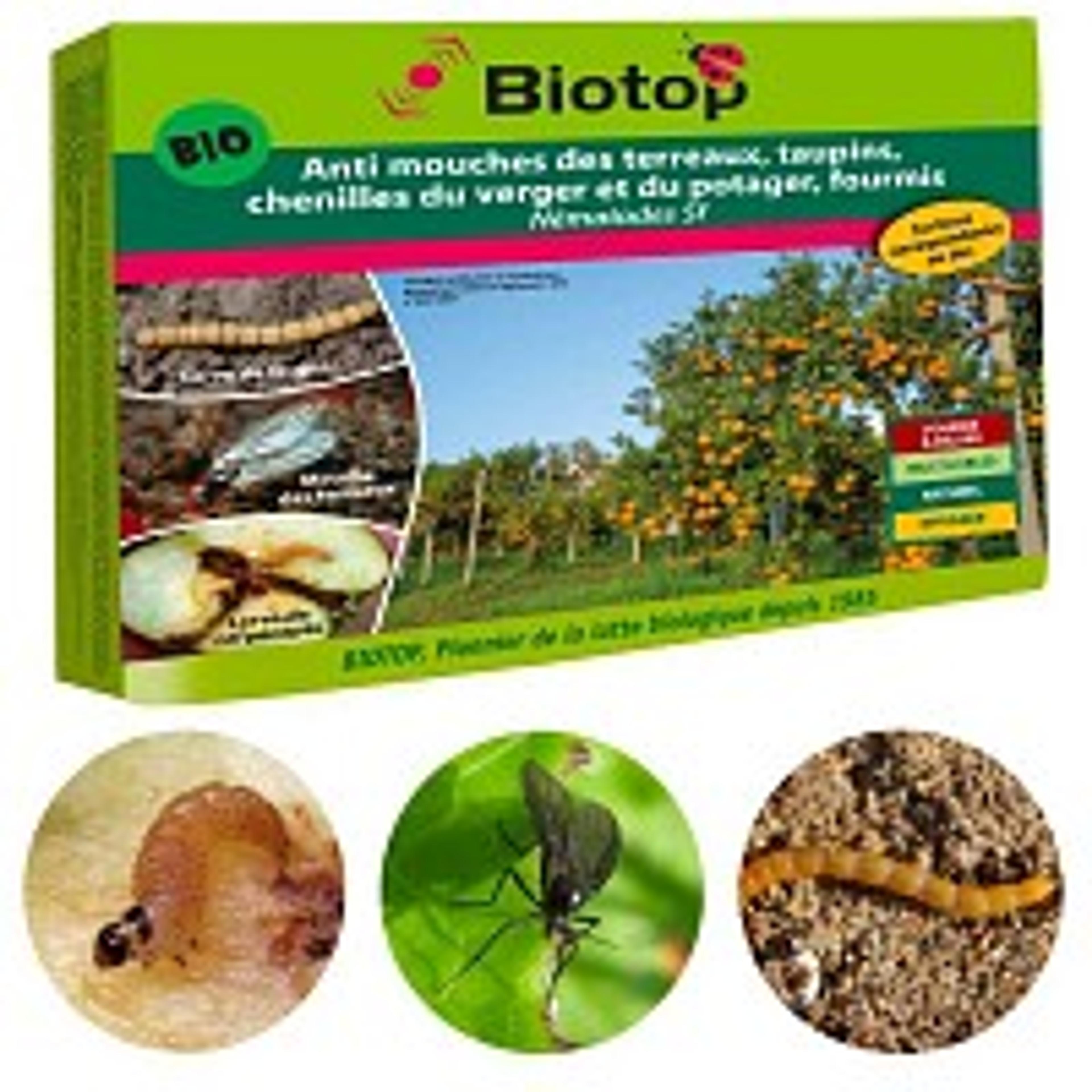 Nematode Sf anti mouche terreaux, chenilles, fourmis - lutte bio