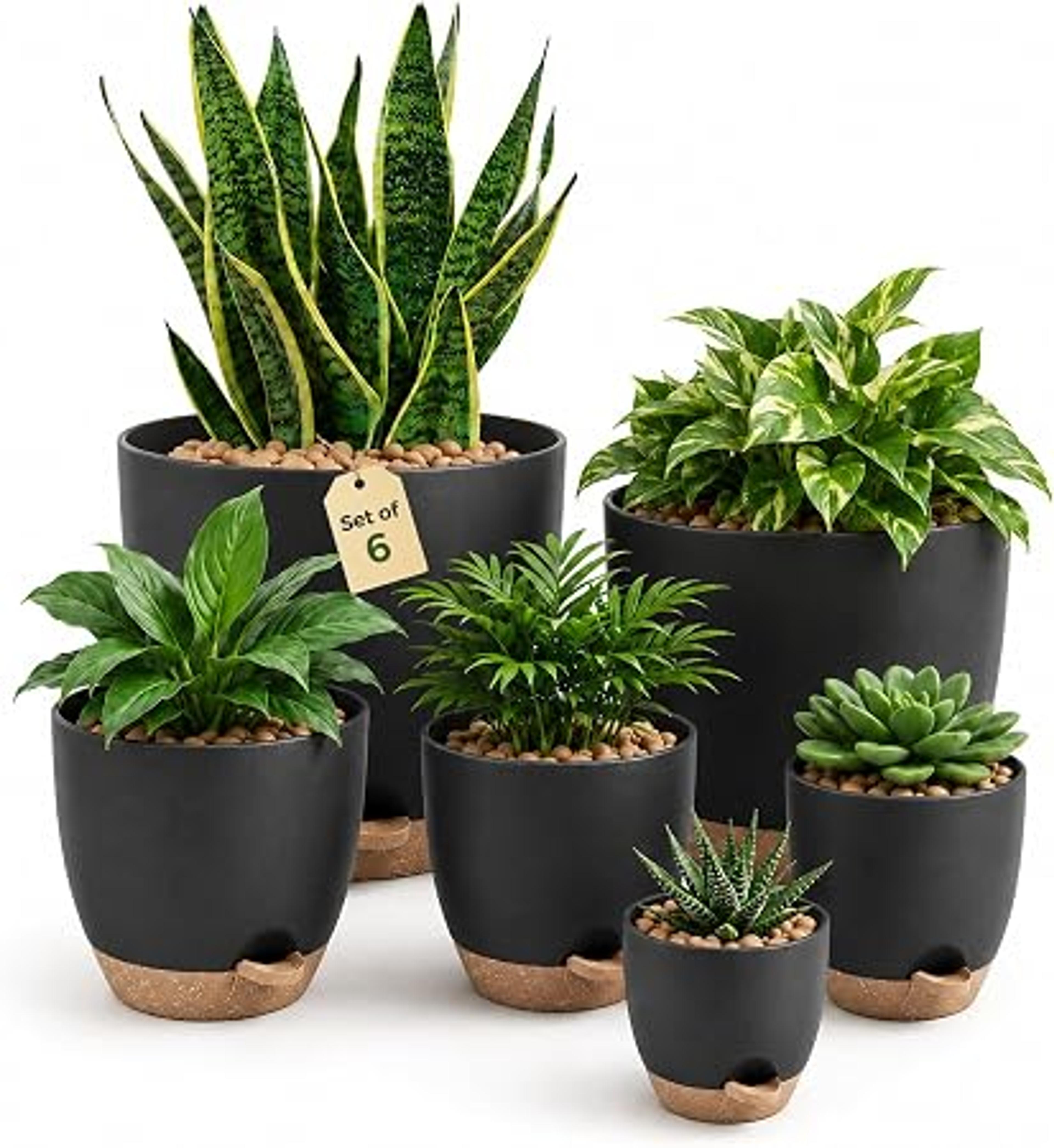 Les pots avec trous de drainage​