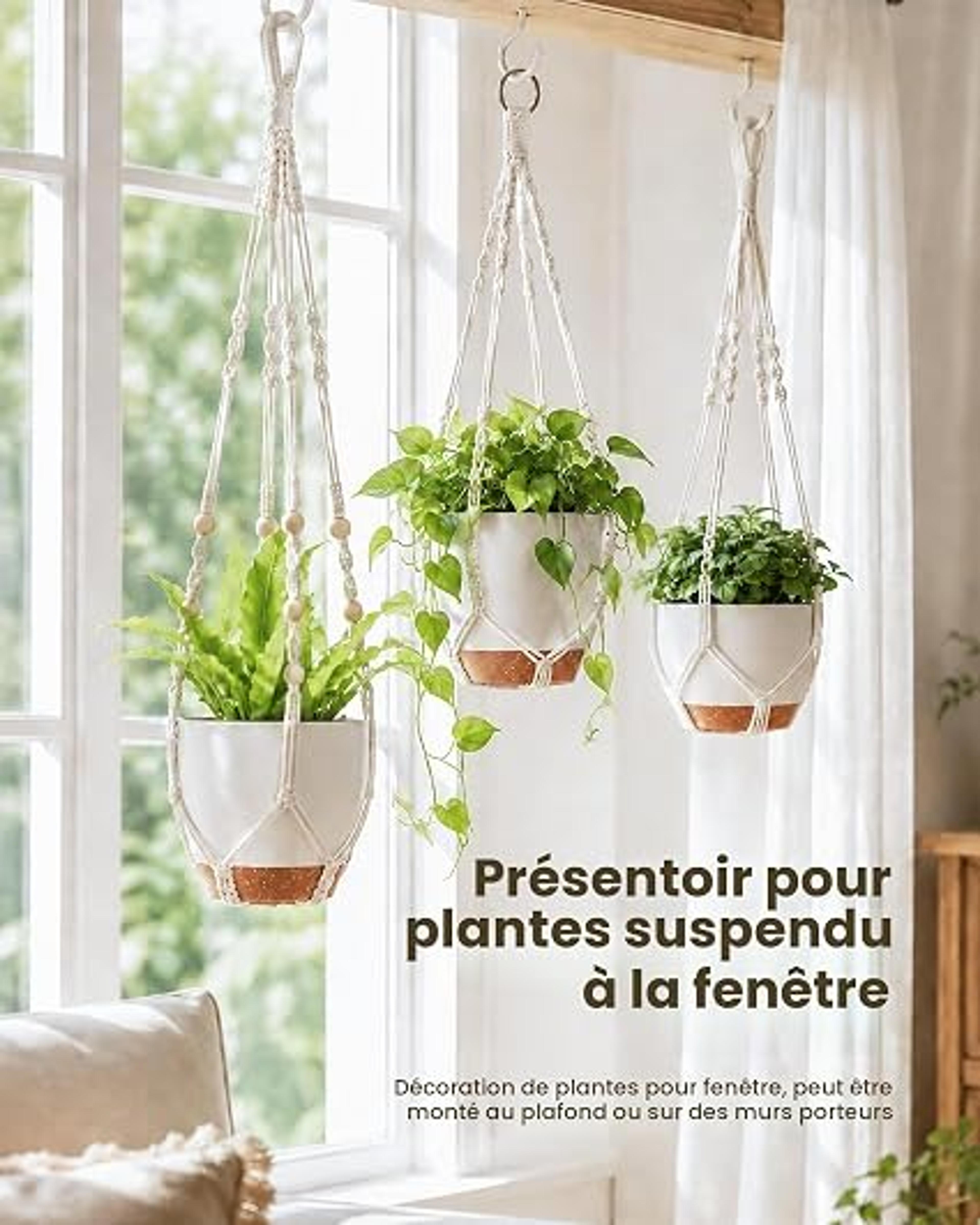 Notre sélection  de porte plantes suspension