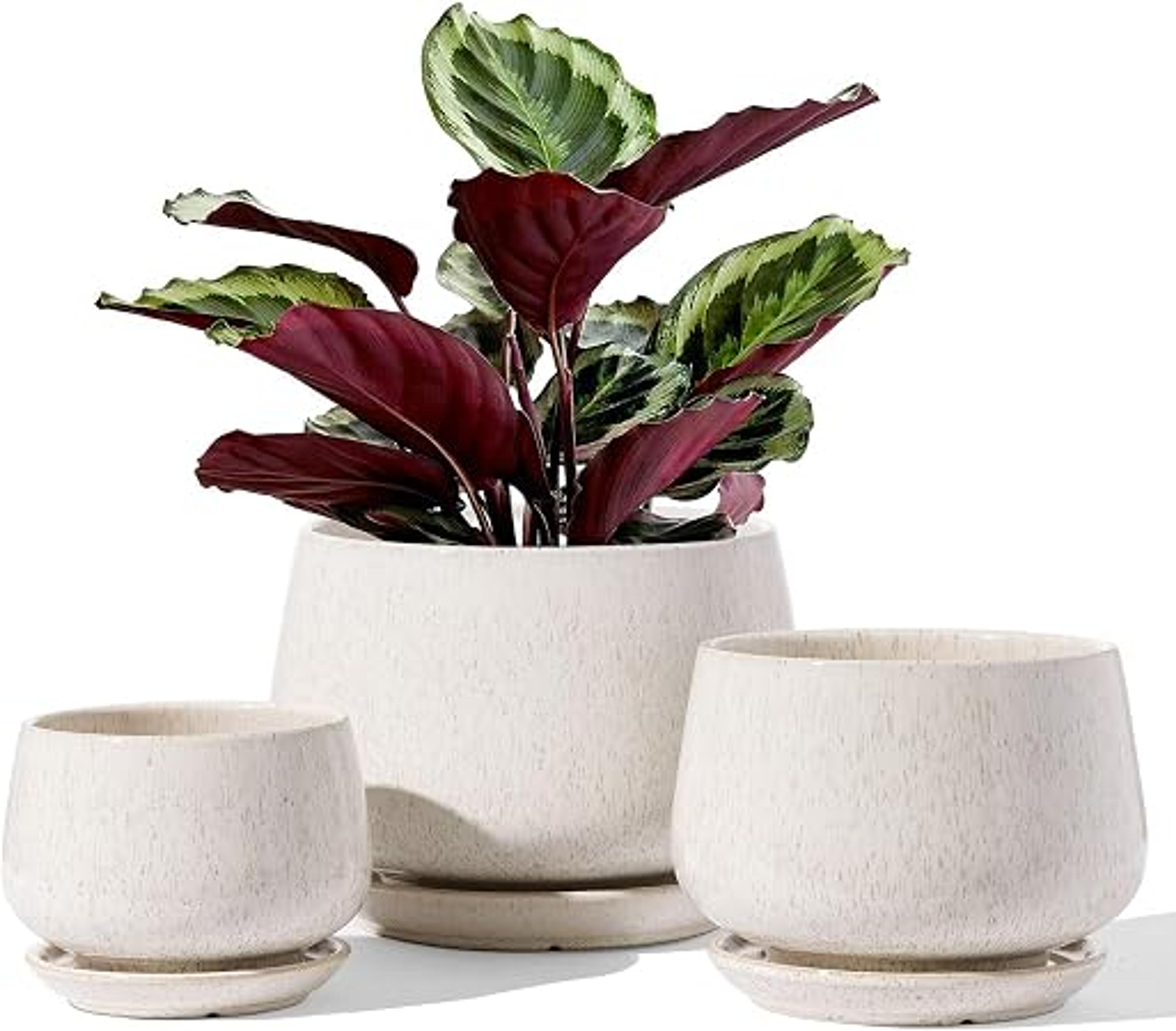 Les pots avec trous de drainage​
