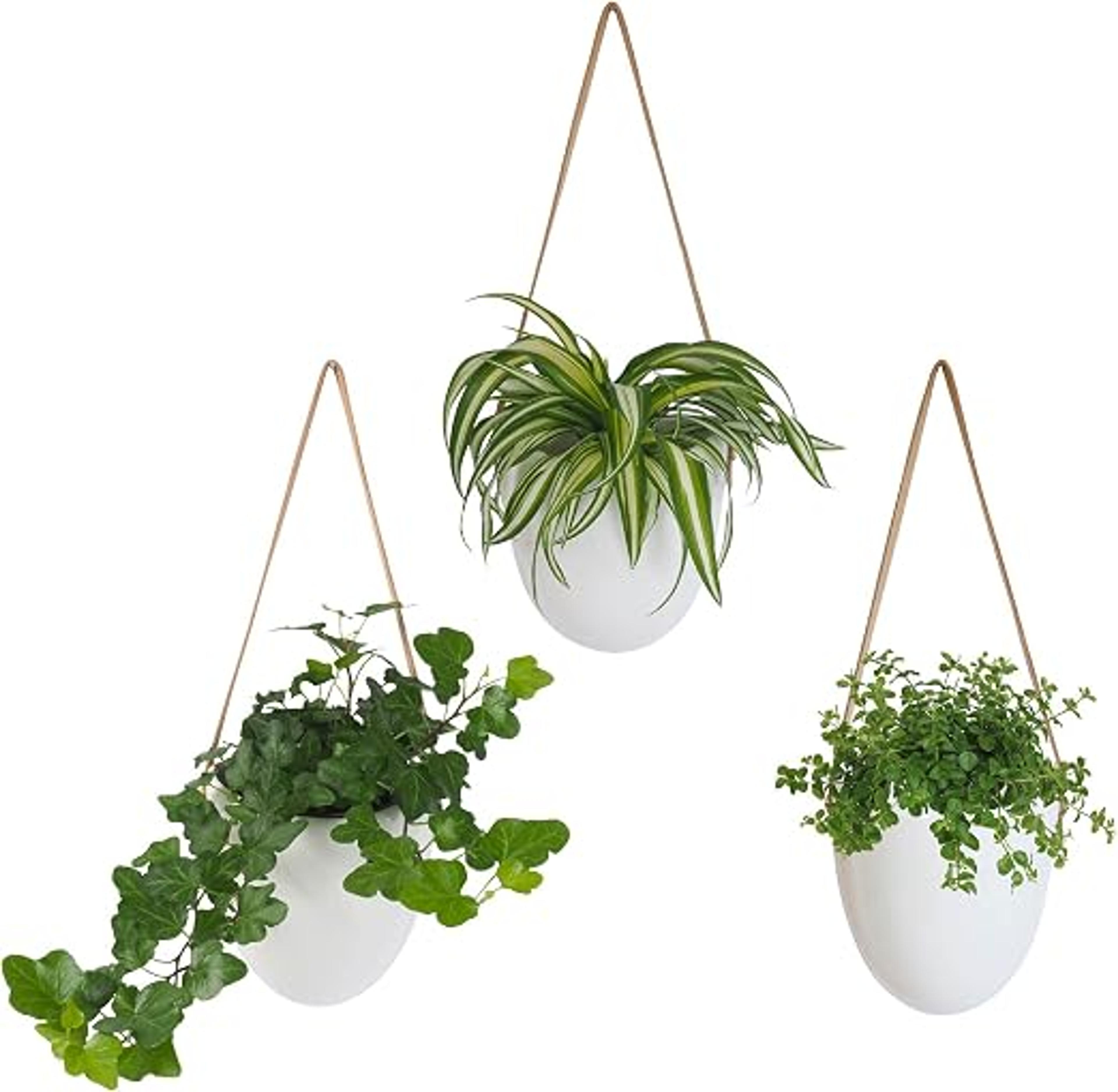 Notre sélection  de porte plantes suspension