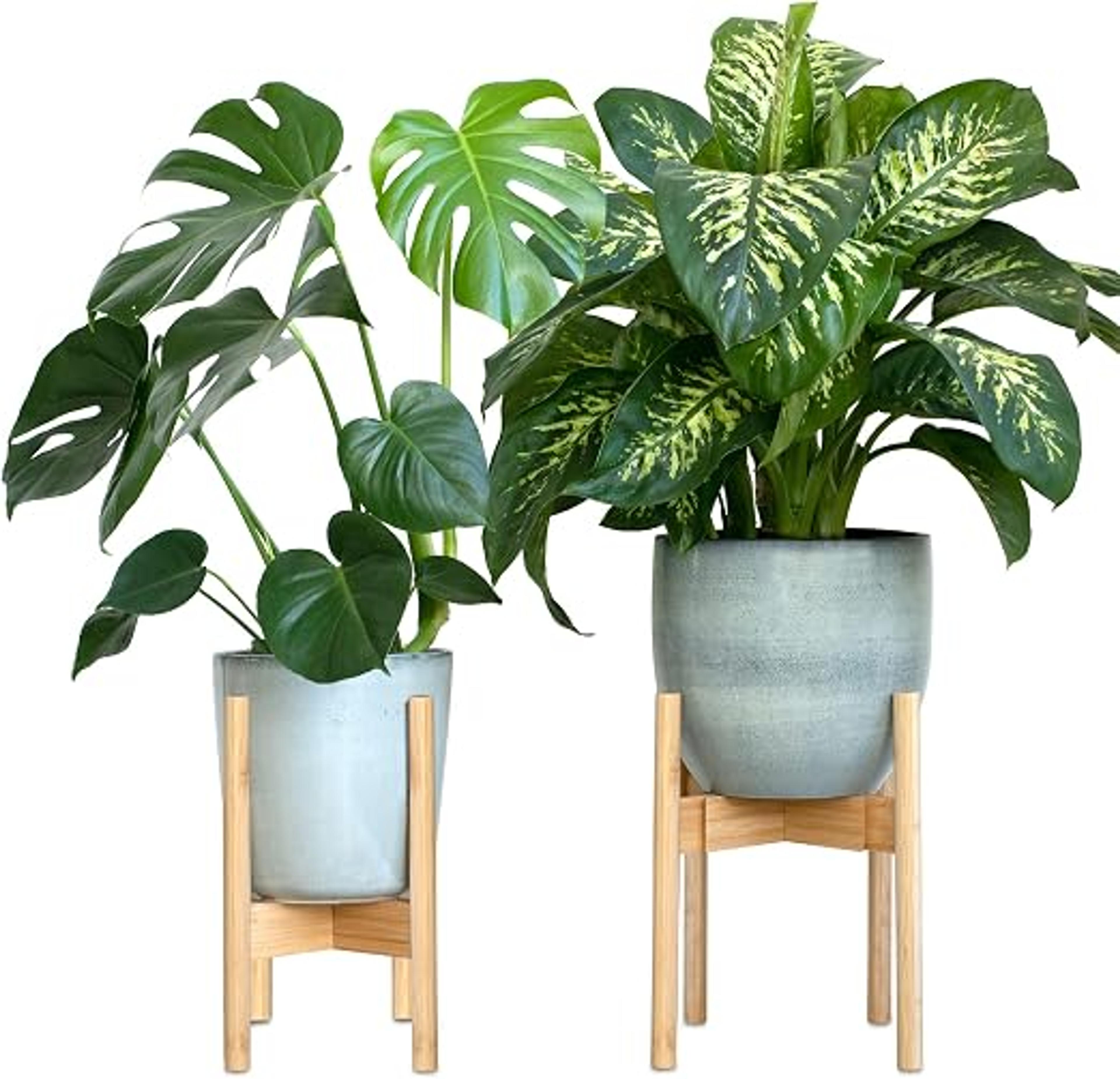Notre sélection  de porte plantes sur pied