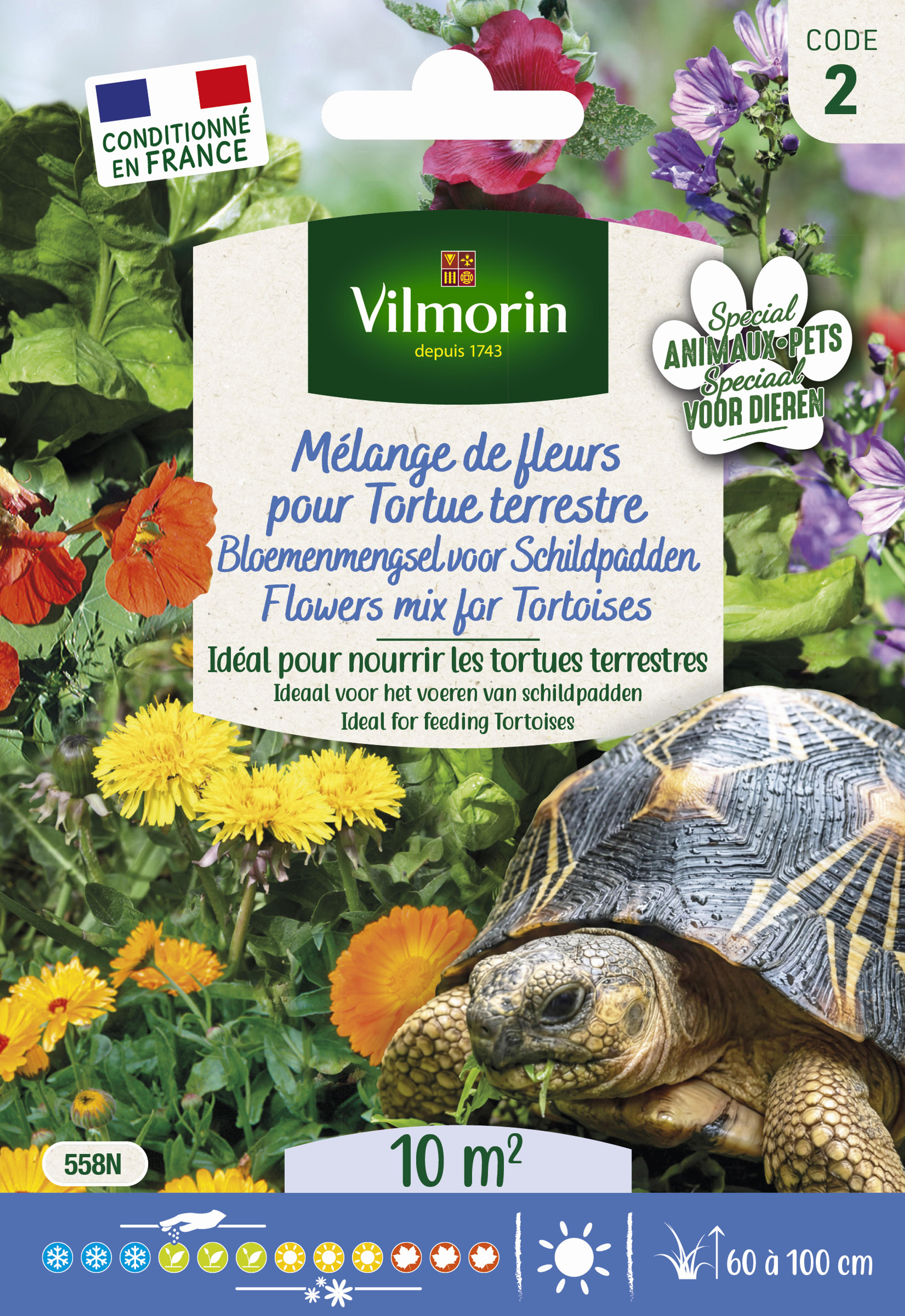 Mélange de fleurs pour Tortues Terrestres | Vilmorin Jardin