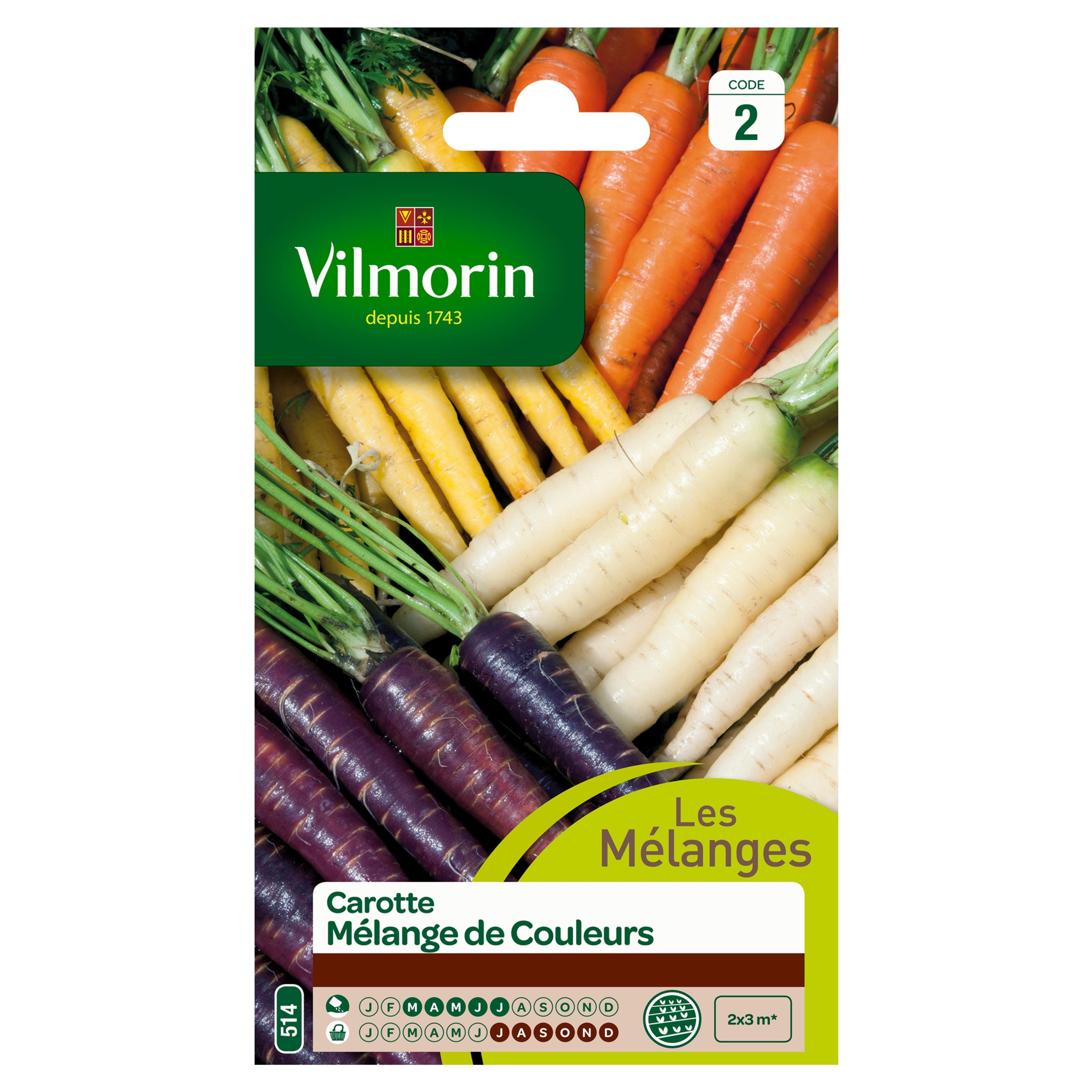 Carotte - Mélange de Couleurs | Vilmorin Jardin