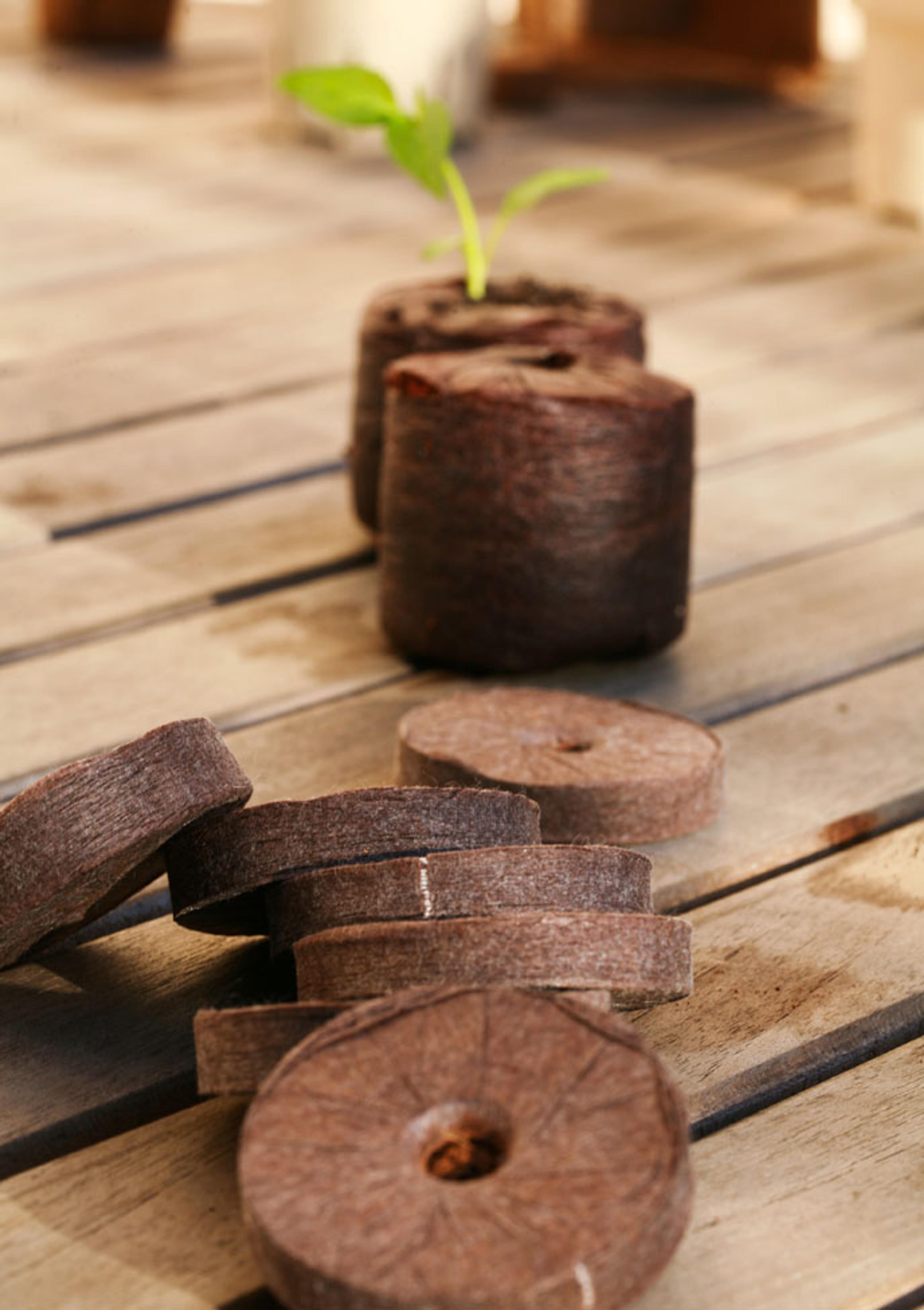 Pastille Coco - 35 mm - Tout en 1 (x35) | Vilmorin Jardin