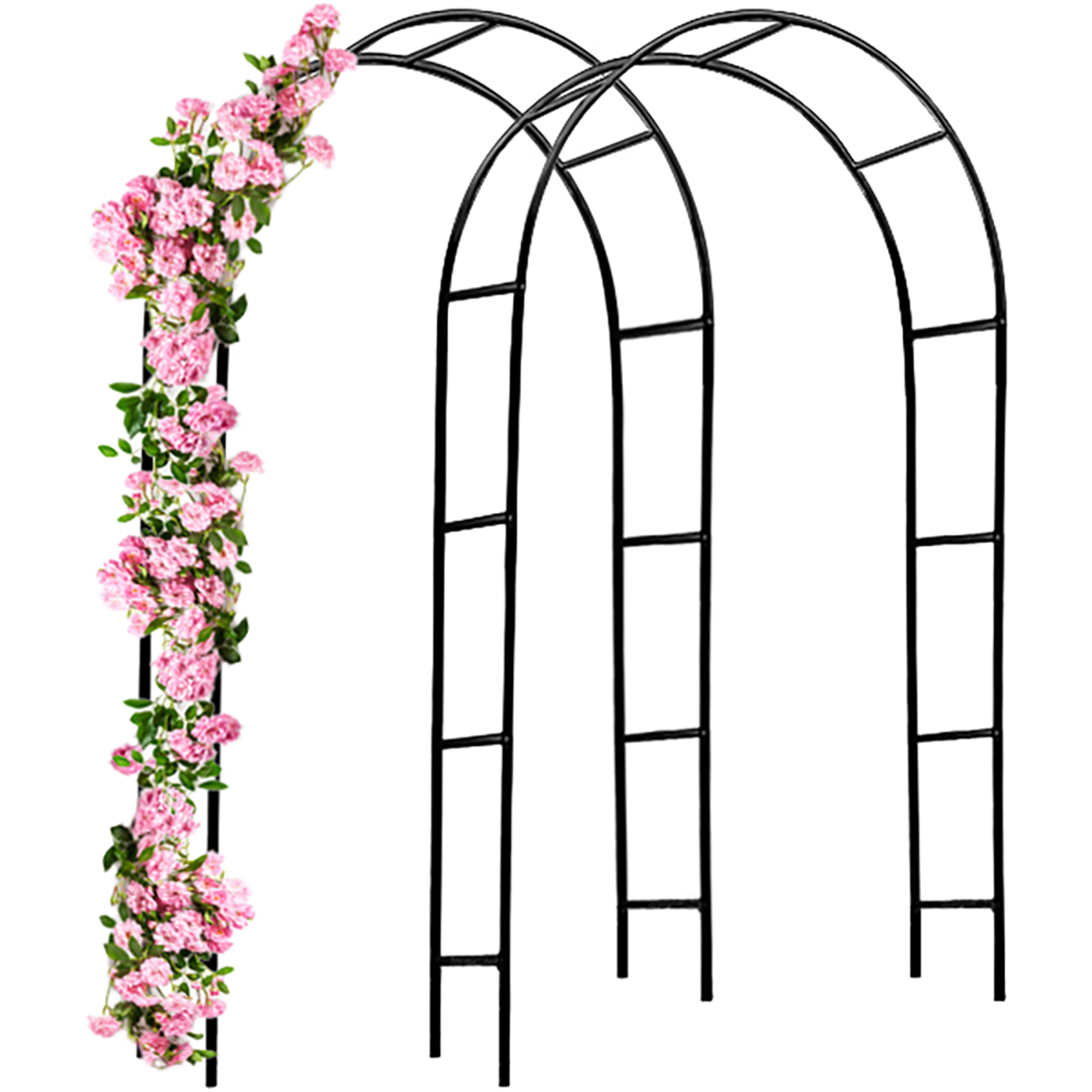 Arche à rosiers 240x140x37cm set de 2 roses et plante grimpante