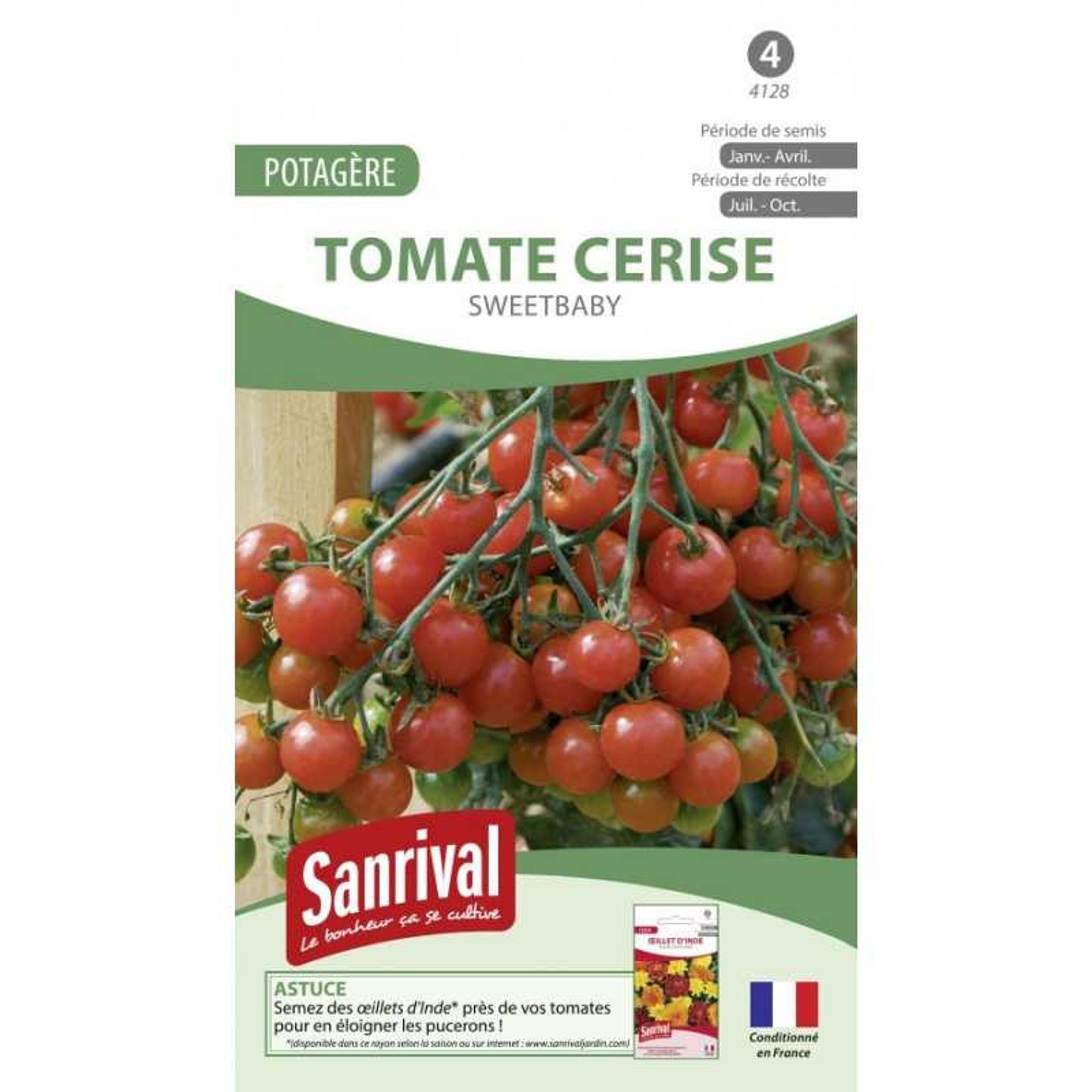 Graines de tomate cerise