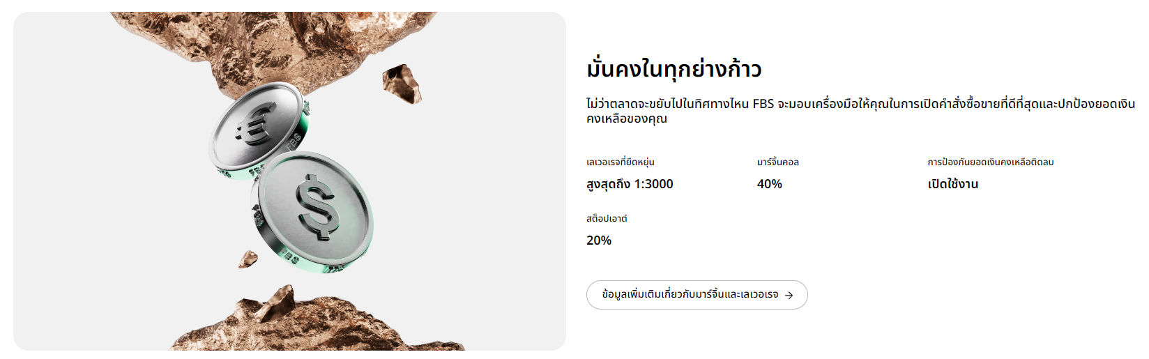 ประเภทบัญชี FBS