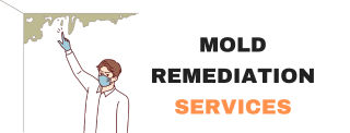 USA Mold Remediation