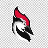 Woodpecker