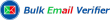 BulkEmailVerifier