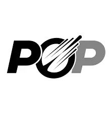 PageOptimizer Pro